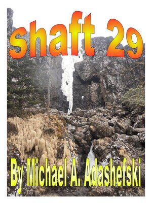 cover image of Shaft 29